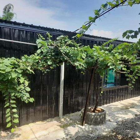 บ้านสวนปวิชญา เกษตรอินทรี Fang Buitenkant foto