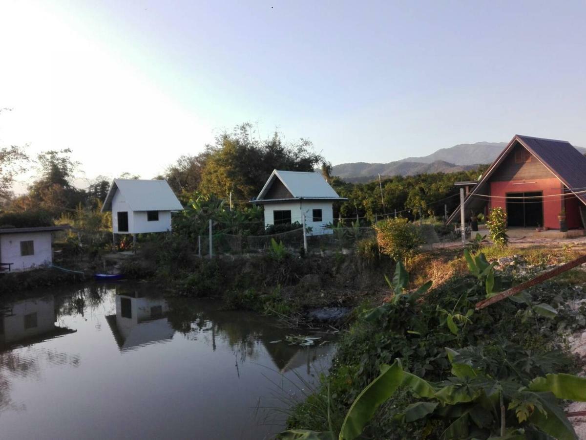บ้านสวนปวิชญา เกษตรอินทรี Fang Buitenkant foto